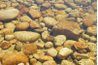 Roches de rivière font de grands cachettes pour le crapet arlequin.