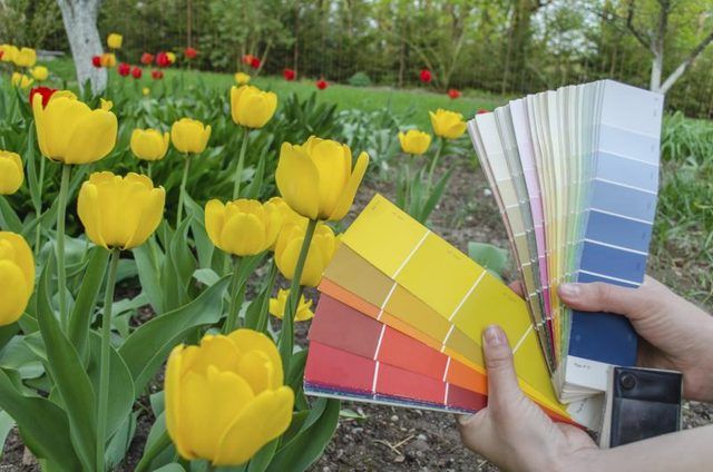 Utiliser une carte de couleur de palais en face d'un jardin