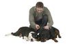 Génétique, la socialisation et la formation ont tous un rôle dans la détermination des comportements chien agressif.