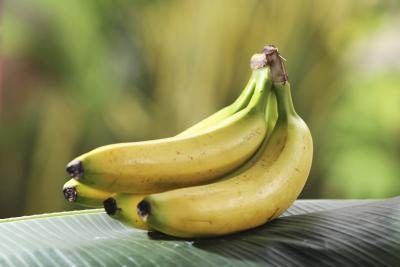 Le gaz d'éthylène rejeté par la banane ou la pomme permettra d'accélérer la maturation des poires.