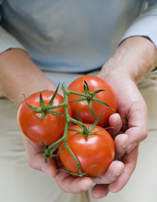 Toujours vérifier une tomate avant de l'utiliser.